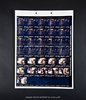 Tomb Raider - Production Used Contact Sheet